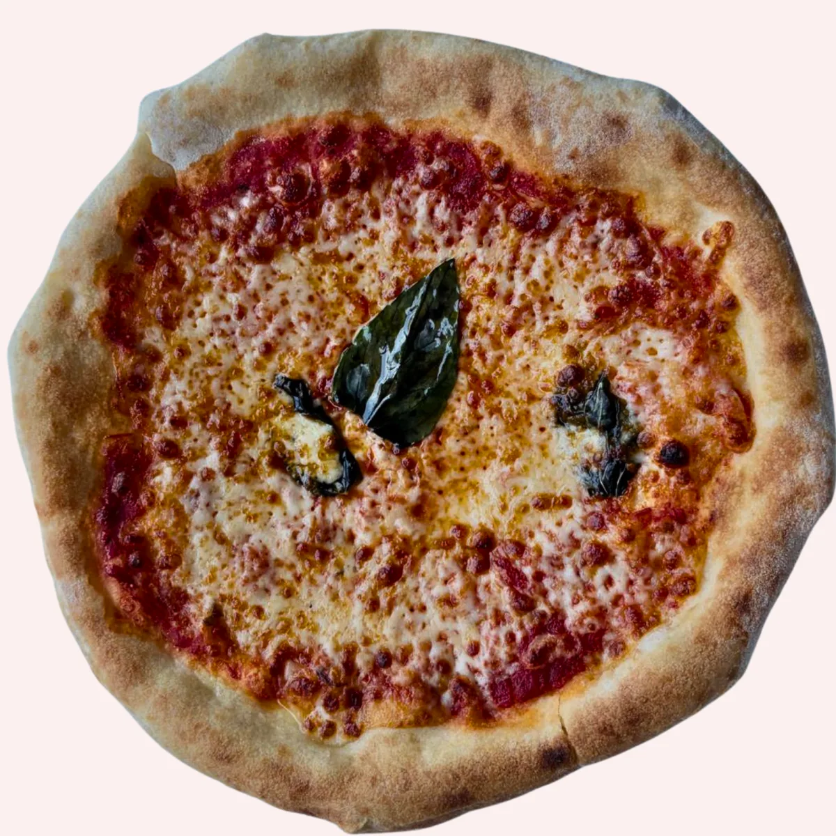 Stone-baked Pizza Press Margherita pizza
